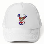 COLORFUL TRIBAL STYLE SCORPION hats