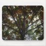 ColorfulTree Mouse Pad