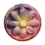 colorized flower refrigerator magnets