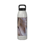 Colossal statue of Ramesses II at Memphis Drinking Bottle