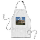 Colosseum Rome aprons