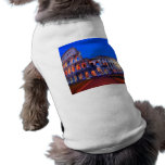 Colosseum Rome pet clothing