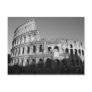 Colossium black and white postcards