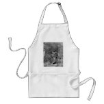Colossus of Abu Simbel, Nubia ~ 1850 aprons