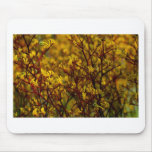 Colour Explosion In Yellow