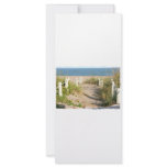 Colour Florida Beach Dune Rope Walk Photo rack cards