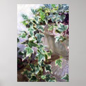 Colour Ivy posters
