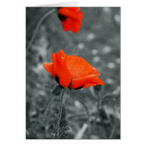 Colour key Poppy Card