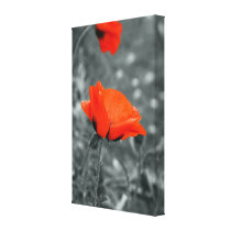 Colour key Poppy Wrapped Canvas Print