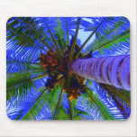 Colour Me A Palm