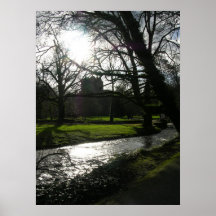 Colour My World Print