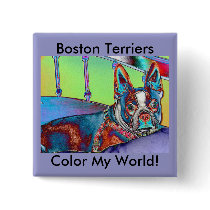 Colour My World with Boston Terriers