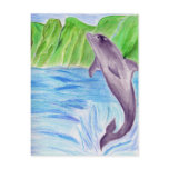 Colour pencil dolphin postcards