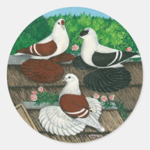 Colour Pigeon Trio Round Sticker