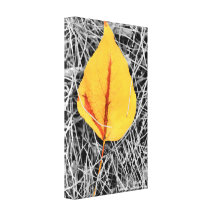 Colour Splashes of Autumn Canvas Stretched Canvas Print