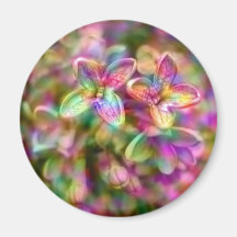Colour up my life fridge magnet