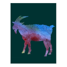 Colour Washed Goats Postcards