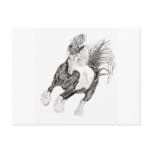 Coloured-Horse postcards