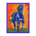Coloured Horse Postcards