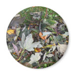 Coloured Leaves Magnet