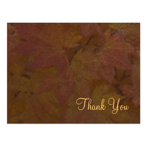 Coloured Maple Leaves Thank You Postcard