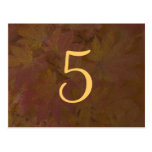Coloured Maple Leaves Wedding Table Number Postcard