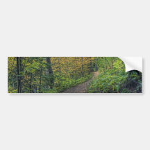 Coloured Path Bumper Sticker