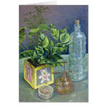 Coloured pencil still life