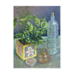 Coloured pencil still life