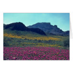 Coloured Slopes Greeting Cards