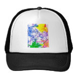colourflow hats