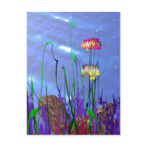 Colourful 3d Angelfish