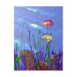Colourful 3d Angelfish postcards