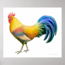 Colourful Ardenner Rooster Print