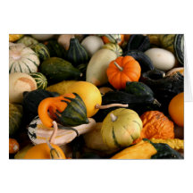 Colourful Autumn Gourds Notecard