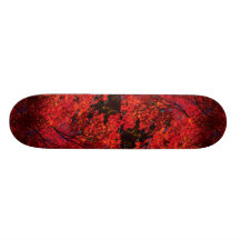 Colourful Autumn landscape Custom Skateboard