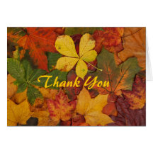 Colourful Autumn Leaves Thank You Note Cards