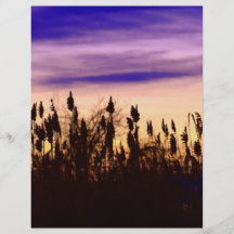 Colourful Autumn Sunset Flyer Design