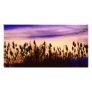 Colourful Autumn Sunset Personalized Photo Card