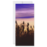 Colourful Autumn Sunset Rack Card Design