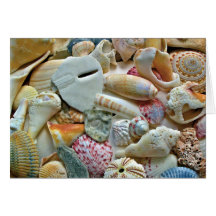 Colourful Beach Shells Blank Note Card