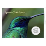 Colourful Bird cards