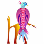 Colourful Bird
