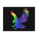 Colourful Bird postcards
