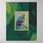 colourful bird posters