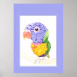Colourful Bird posters