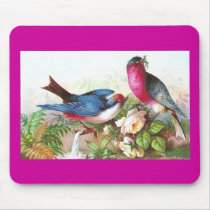 Colourful Birds, Roses & Waterspout
