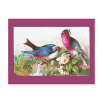 Colourful Birds, Roses & Waterspout