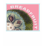 Colourful Breadfruit Tropical T-Shirt - Dark Colou