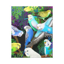 Colourful Budgerigar Parakeets Wrapped Canvas Gallery Wrapped Canvas